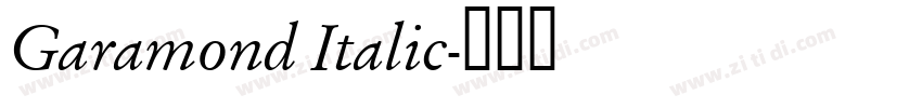 Garamond Italic字体转换